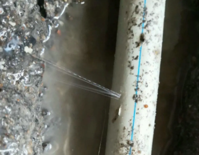 新建测漏水哪家好