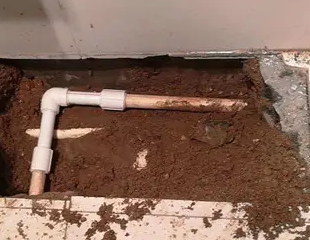 新建测漏水哪家好