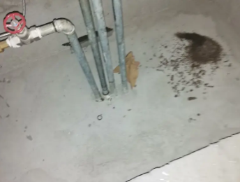 新建卫生间测漏水价格明细