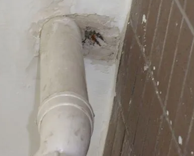 新建漏水检测哪家好